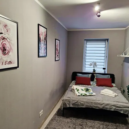 Friendly Welnowiec * Katowice