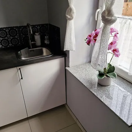 Friendly Welnowiec *