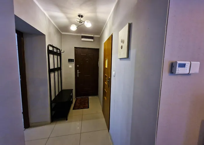 Friendly Welnowiec Katowice