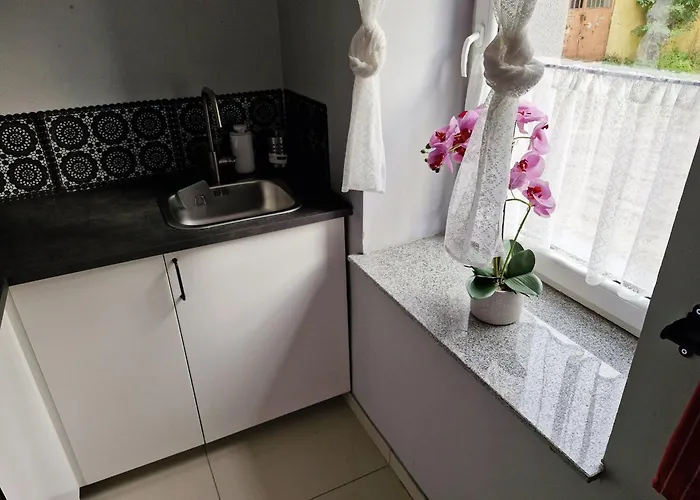 Friendly Wełnowiec *