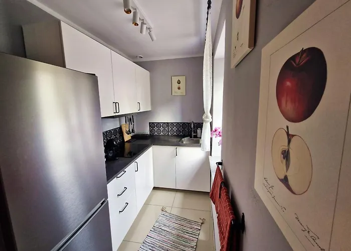 Friendly Wełnowiec Apartament *